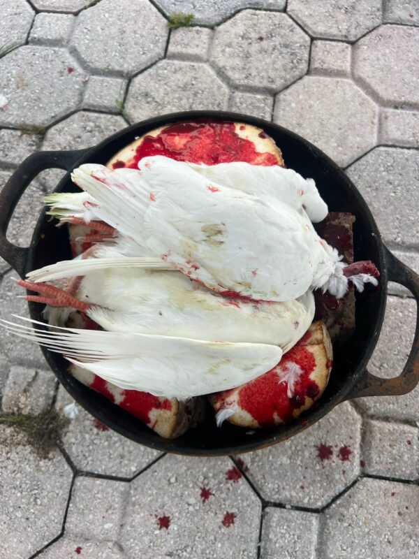 Rituel de magie blanche pour reconquête amoureuse après consultation Fa